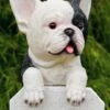 MARSHALL Hanging French Bulldog
