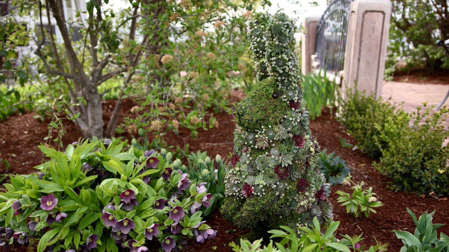 Standing Rabbit Topiary 4 Standing Rabbit Topiary - Image 4