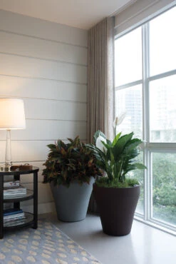 Rim TruDrop® Self-Watering Planter -Outdoor Decor Art Rim Planters6 1600jpg 17381.1676403250