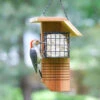 Tail Prop Suet Feeder