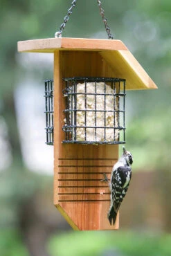 Tail Prop Suet Feeder -Outdoor Decor Art SF2b 76013.1676036618