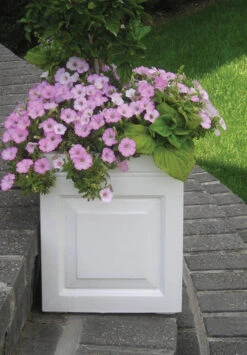 Sloane Fiberglass Planters -Square, Troughs & Window Box -Outdoor Decor Art Sloane Square in situ 33168.1677703938