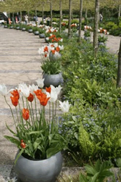 Geo Sphere -Outdoor Decor Art SphereColmer 24925.1676124709