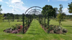 St Albans Pergola