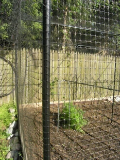 Superior Fruit Cage Side Mesh 6'6" Wide (sold Per Foot) 5 Superior Fruit Cage Side Mesh 6'6" Wide (sold Per Foot) -Outdoor Decor Art Superior Fruit Cage Side 26131.1717793298