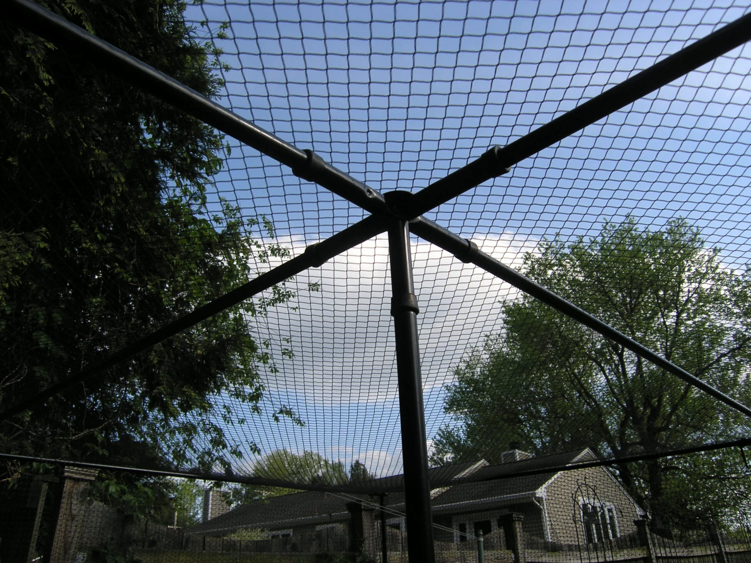 Superior Fruit Cage TBK - 2.5m X 4m (8'2.4" X 13'1.4") 5 Superior Fruit Cage TBK - 2.5m X 4m (8'2.4" X 13'1.4") - Image 5