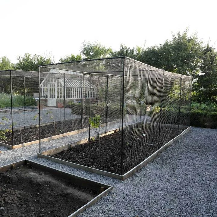 Superior Fruit Cage TBK - 2.5m X 4m (8'2.4" X 13'1.4") 1 Superior Fruit Cage TBK - 2.5m X 4m (8'2.4" X 13'1.4")