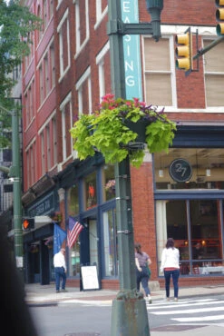 Up The Pole Half Basket Self-Watering Planter -Outdoor Decor Art UTP Richmond1 1600 73338.1677942453