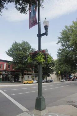 Up The Pole Half Basket Self-Watering Planter -Outdoor Decor Art UTP Richmond2 1600 89090.1677942453