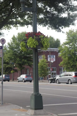 Up The Pole Half Basket Self-Watering Planter -Outdoor Decor Art UTP Richmond5 08434.1677942455