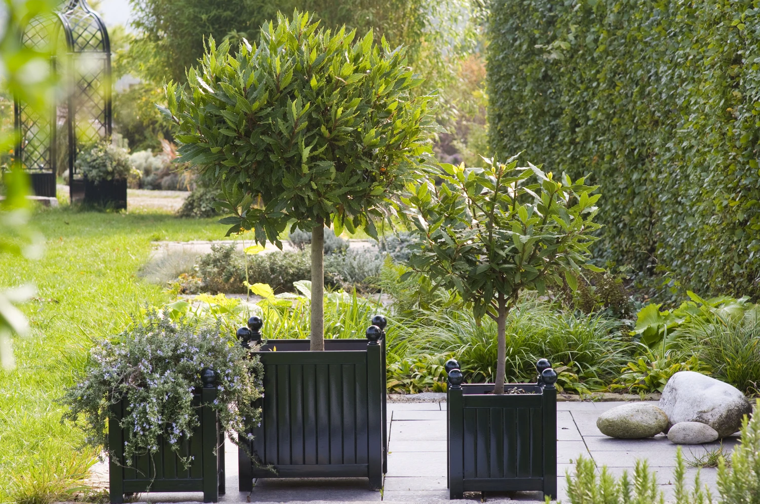 Versailles Planter 1 Versailles Planter