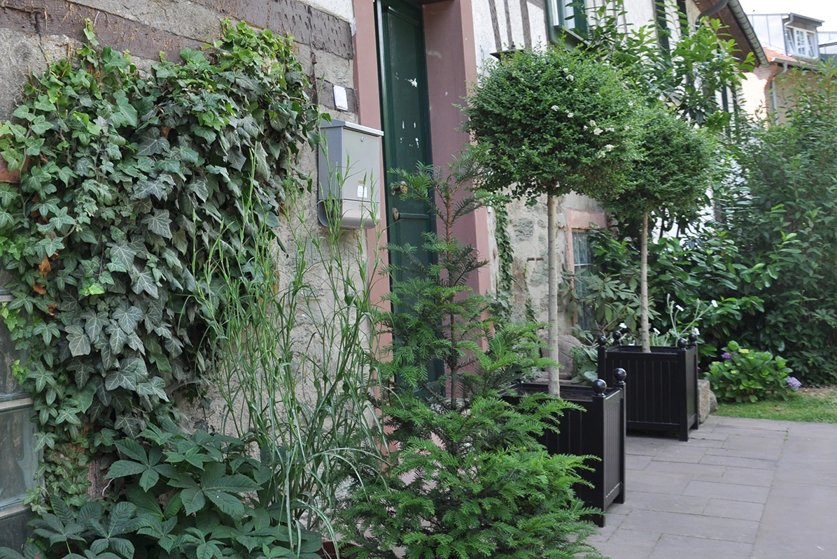 Versailles Planter 3 Versailles Planter - Image 3