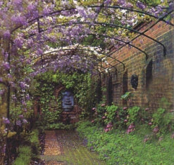 Wall Pergola 8 Wall Pergola -Outdoor Decor Art Wall Pergola 86730.1676036718