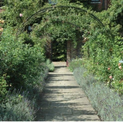 York Garden Arch -Outdoor Decor Art York CX 1 46294.1704032484