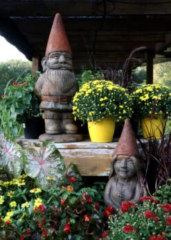 Ziggy Garden Gnome -Outdoor Decor Art Ziggy Zoe 1600 80595.1718114619