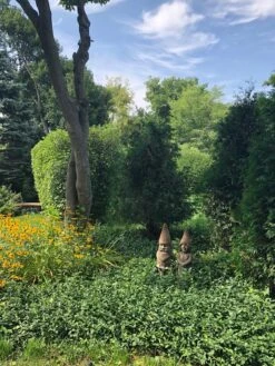 Ziggy Garden Gnome -Outdoor Decor Art Ziggy Zoe in Garden 39417.1718114619