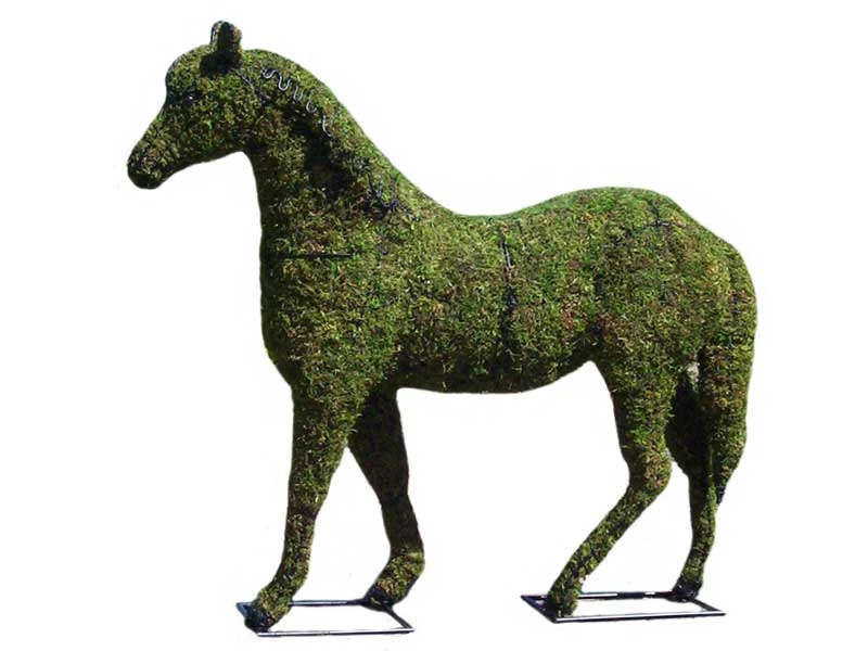 Horse Topiary 4 Horse Topiary - Image 4