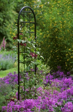 Burlington Steel Garden Trellis