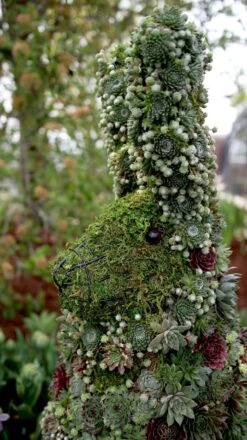 Standing Rabbit Topiary 5 Standing Rabbit Topiary -Outdoor Decor Art a563c605 fa9c 4a71 ac1d 462f0d3b1157 STANDING RABBIT 96174.1677104840