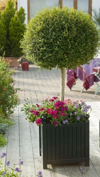 Versailles Planter 4 Versailles Planter - Image 4