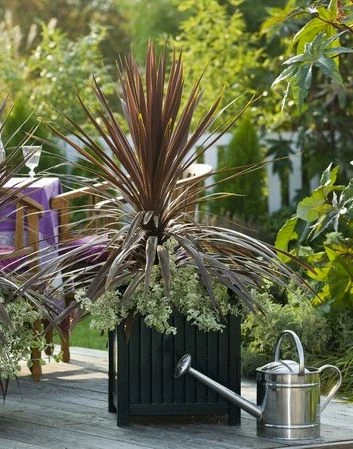 Versailles Planter 2 Versailles Planter - Image 2