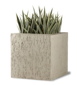 Beton Planter