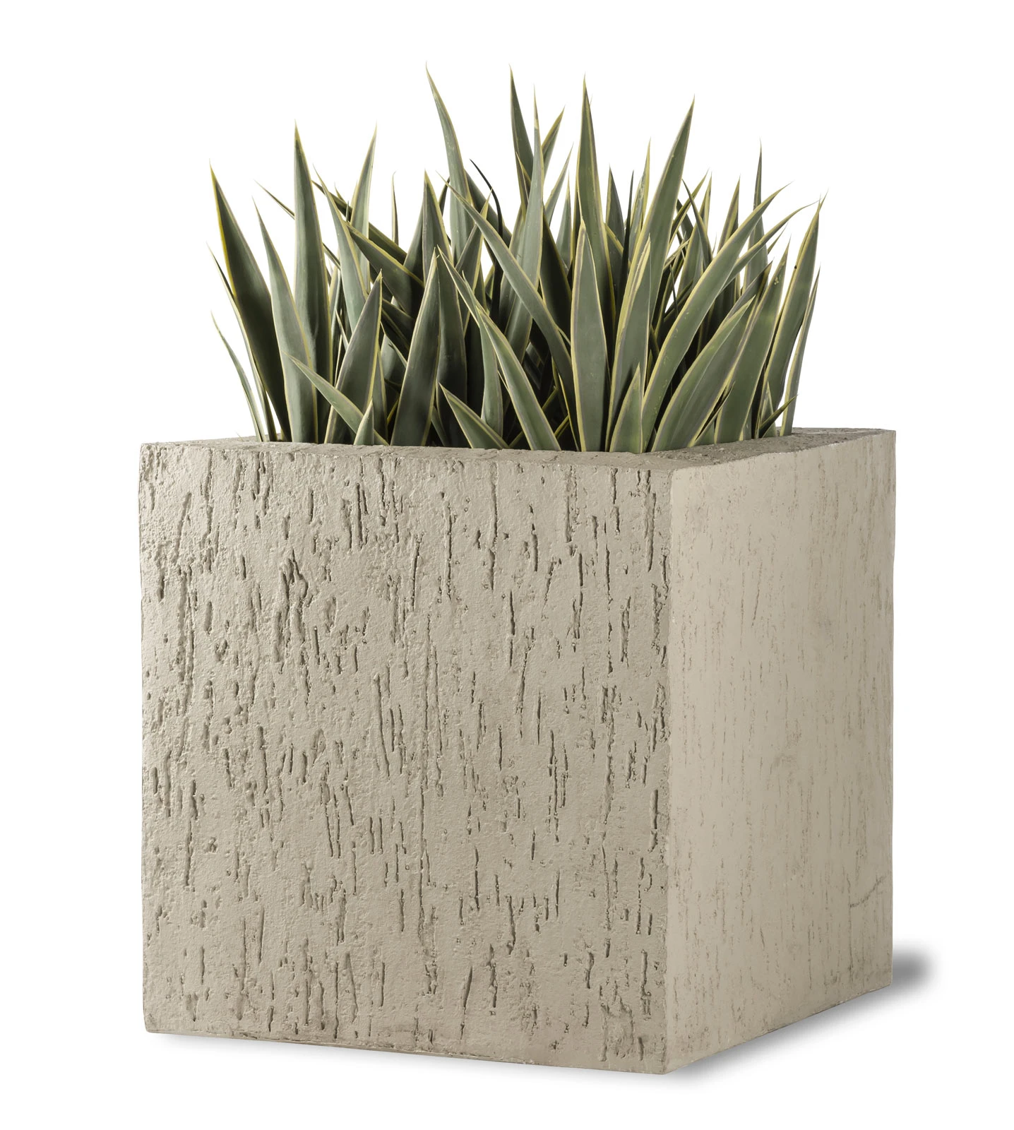 Beton Planter 1 Beton Planter