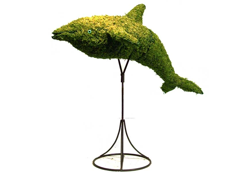 Dolphin Topiary 1 Dolphin Topiary