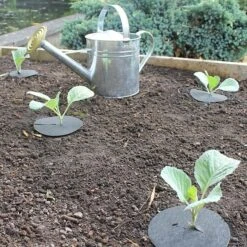 Cabbage Collars Pack Of 20 -Outdoor Decor Art cabbage collar bulk new 33935.1676036624