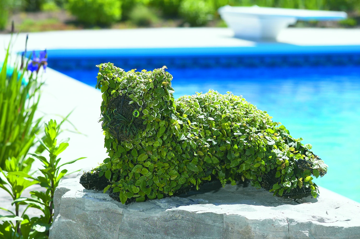 Lying Cat Topiary - Mossed 1 Lying Cat Topiary - Mossed