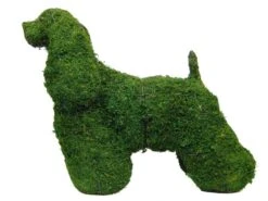 Cocker Spaniel Topiary