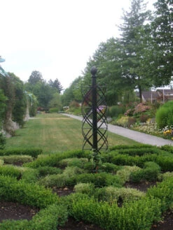 Charleston Rose Pillar 11 Charleston Rose Pillar -Outdoor Decor Art charleston fleetwood garden 18804.1709321482