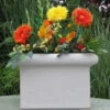 Chelsea Box Planter
