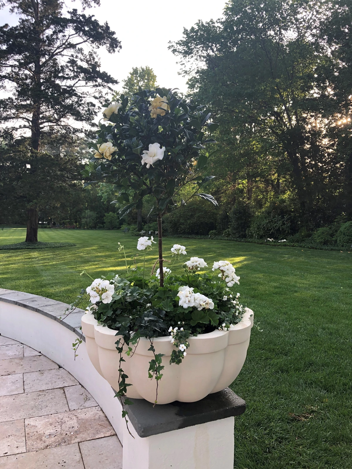 Citadel Planter 3 Citadel Planter - Image 3