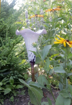 Outdoor Decor Art -Outdoor Decor Art d016f468 0a7a 4419 ab5a 1947c878f7ac AHWT 50813.1715268595