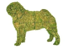 Pug Topiary