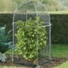 Domed Roof Fruit Cage Crop Protection
