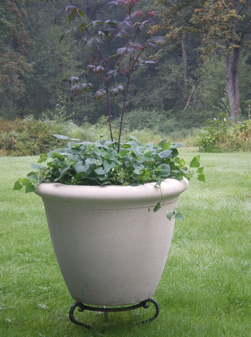 Dorset Bowl Planter 2 Dorset Bowl Planter - Image 2