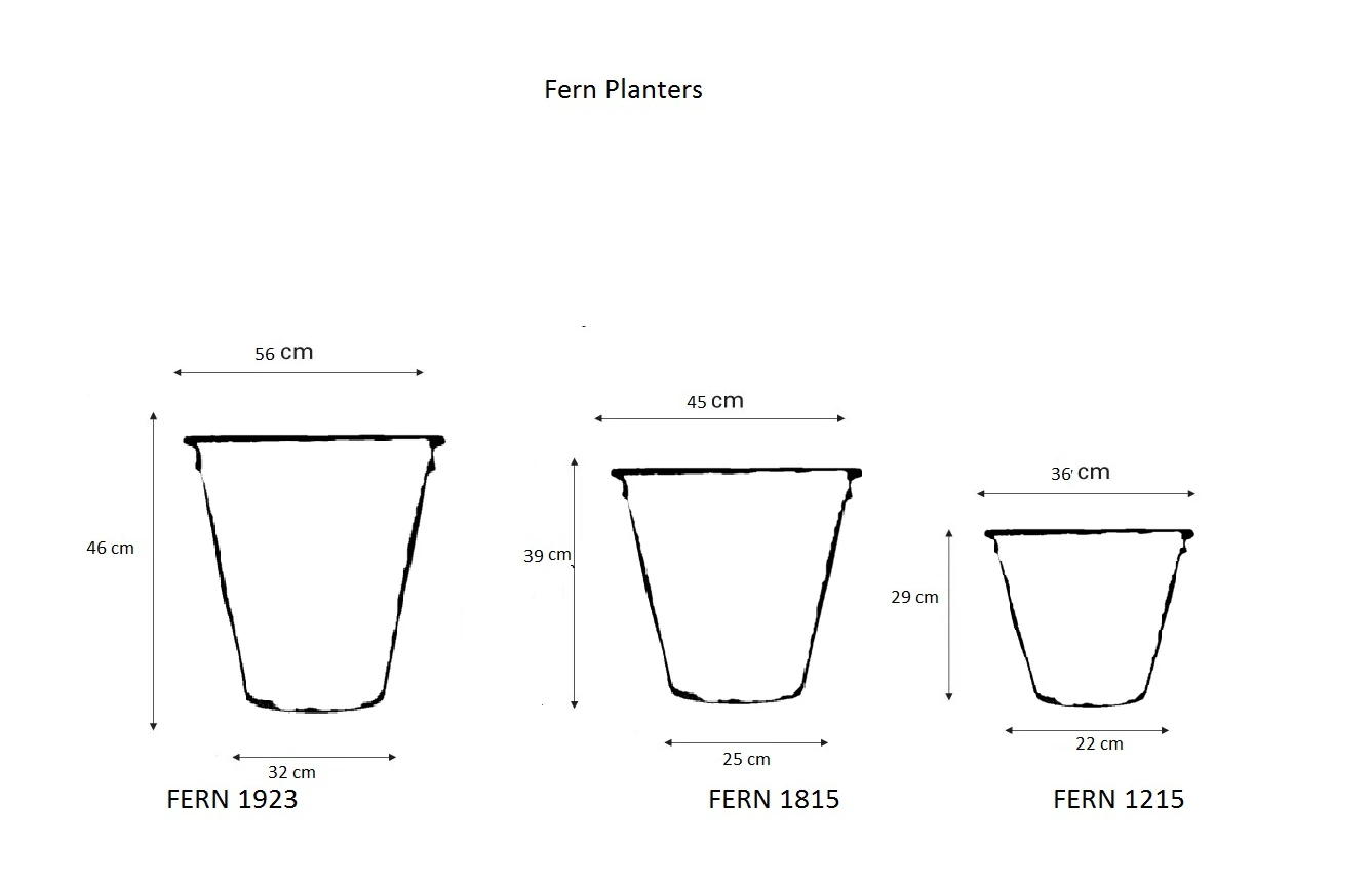 Fern Planter Pot 2 Fern Planter Pot - Image 2