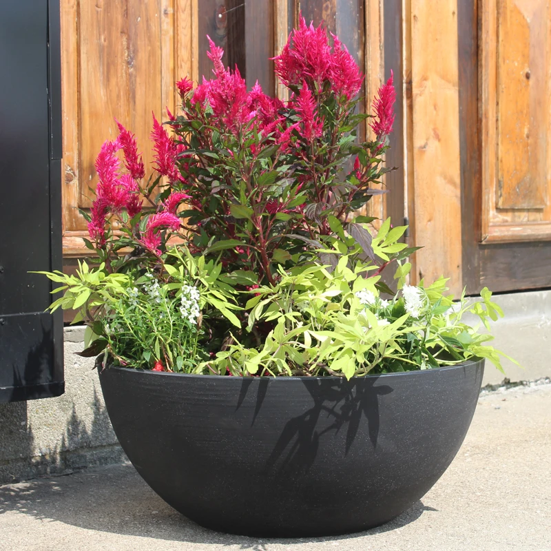 Flat Bottom Bowl Planter 3 Flat Bottom Bowl Planter - Image 3