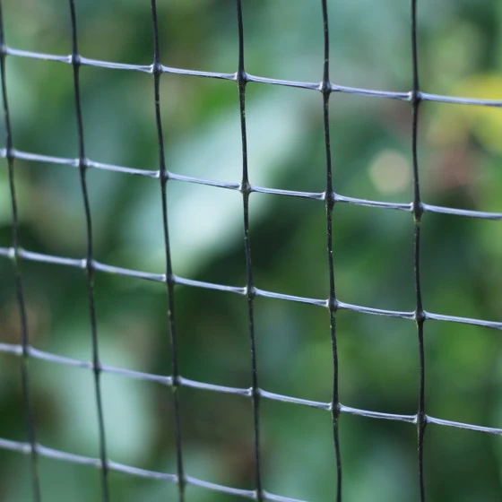 Superior Fruit Cage Side Mesh 6'6" Wide (sold Per Foot) 1 Superior Fruit Cage Side Mesh 6'6" Wide (sold Per Foot)