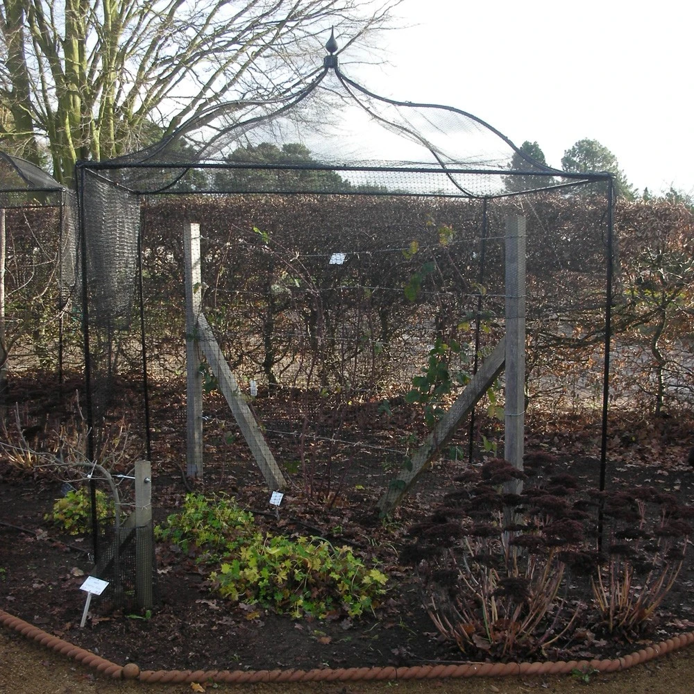 Gothic Fruit Cage 2 Gothic Fruit Cage - Image 2