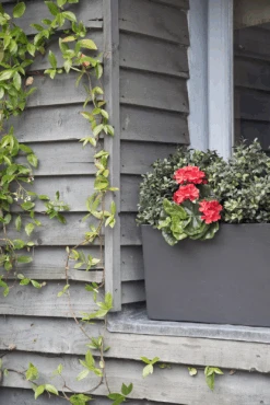 Geo Window Box Planters -Outdoor Decor Art geowindowbox5 81970.1676122288