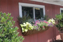 55 In Window Hayrack With Molded Coco Liner 6 55 In Window Hayrack With Molded Coco Liner -Outdoor Decor Art gg55 c 93047.1706966341