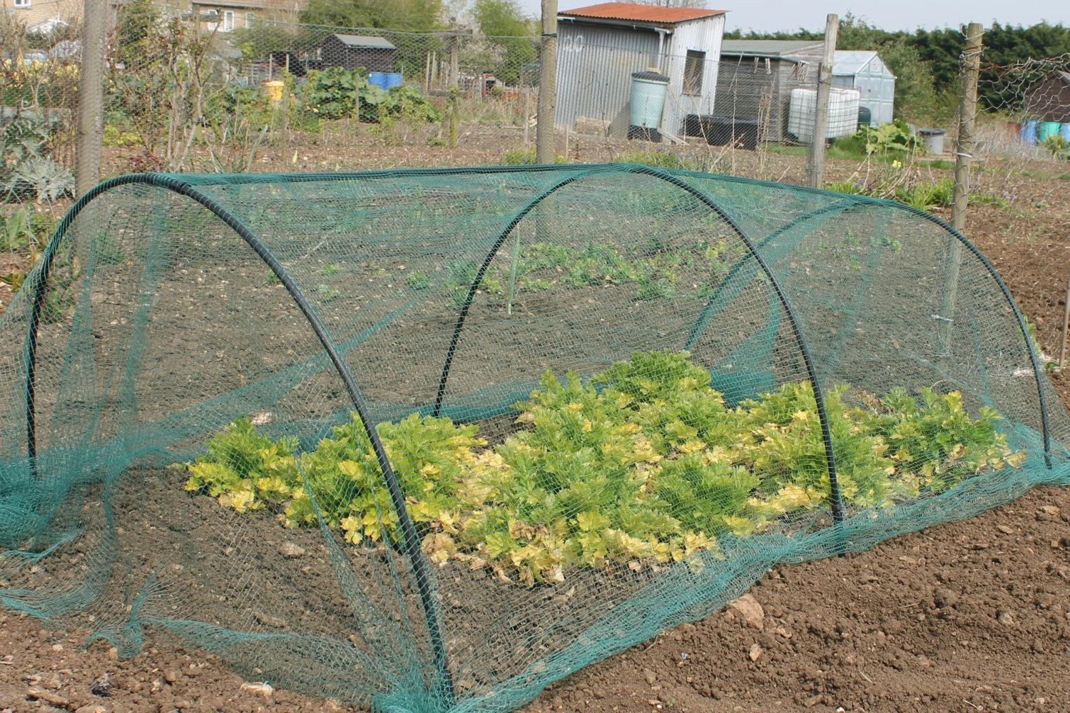 Hoop Tunnel Kit With Soft Green Butterfly Netting 2 Hoop Tunnel Kit With Soft Green Butterfly Netting - Image 2