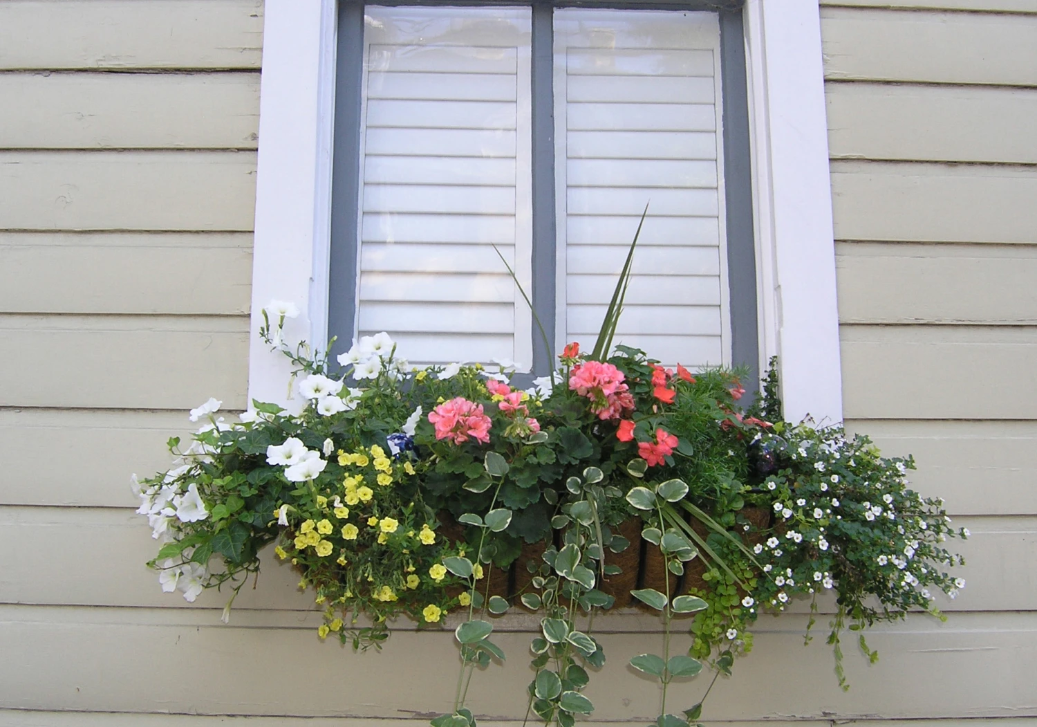 Garden Artisans 30 In Window Hayrack With Molded Coco Liner 5 Garden Artisans 30 In Window Hayrack With Molded Coco Liner - Image 5