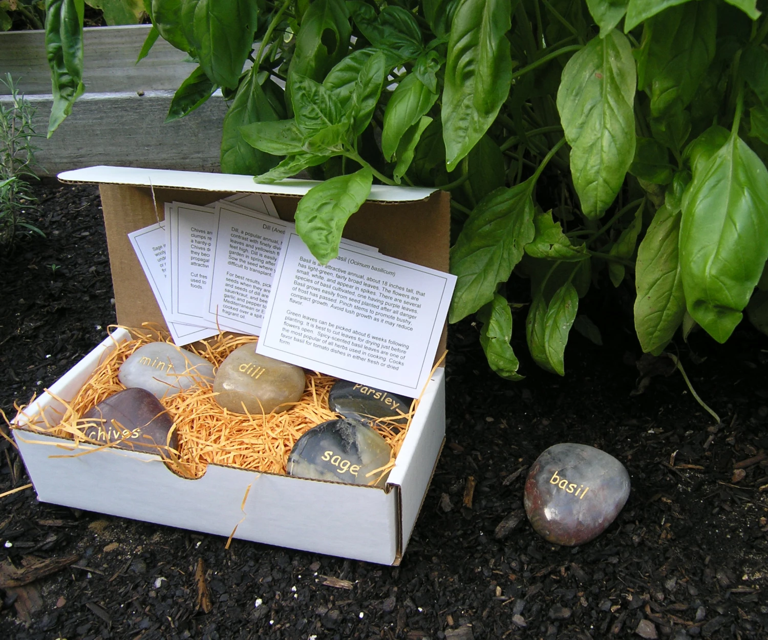 Garden Herb Markers Gift Set - 6 Stone Herb Markers 2 Garden Herb Markers Gift Set - 6 Stone Herb Markers - Image 2