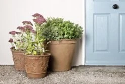 Ivy Planter Pot -Outdoor Decor Art ivy1215 t 1 23267.1676140175