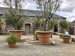 Large Pot 8 Large Pot -Outdoor Decor Art largepot groupinsitu 06880.1676036666