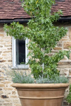 Large Pot 11 Large Pot -Outdoor Decor Art largepot 1 60255.1676036667